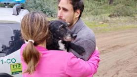 ¡Rescatado Boro! PACMA confirma que el perro extraviado en el accidente de Adamuz vuelve con su familia