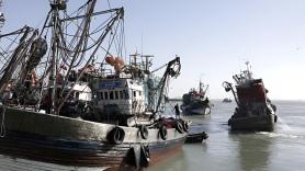 Paola, 45 años, hace 20 que se dedica al sector de la pesca artesanal: "Trabajo en un ambiente hostil, hay mucho machismo"