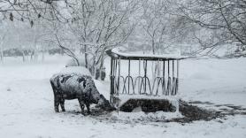 El paso de la borrasca Ingrid, en imágenes