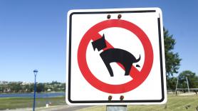 Recoger o pagar: hasta 500 euros de multa por 'olvidarse' la caca de perro en la calle