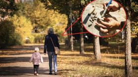 Alexandre, 11 años, y su abuelo se topan con un tesoro arqueológico en sus tierras de 450.000 años de antigüedad