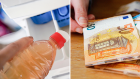 Adiós a comprar detergente: Olivia ahorra 8.000 euros al año lavando la ropa con hiedra y castañas del parque