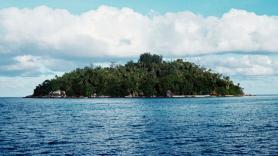 Compró una isla desierta por 9.242 euros, plantó 16.000 árboles y rechazó ofertas multimillonarias para convertirla en un oasis libre