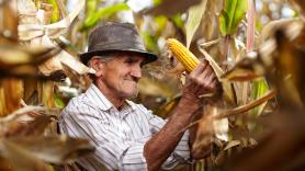 Un agricultor jubilado dona 10.000 kilos de harina a los necesitados: "Cuando te crecen las canas es hora de pensar en los demás"