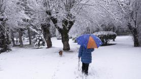 Última hora de la borrasca Kristin en directo: alertas de la AEMET, nieve en Madrid y otras comunidades, carreteras cortadas y el temporal en España hoy