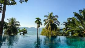 Un millonario se estrella en los tribunales por talar árboles protegidos para hacerse una piscina