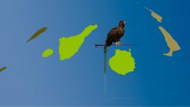 Un debate europeo sobre el acceso a la vivienda en Canarias: prioridad imperiosa, que exige normas y recursos