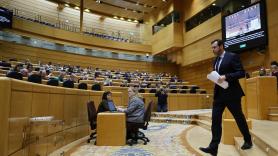 Puente acusa en el Senado a la "derecha política y mediática" de esparcir "bulos" sobre el accidente de Adamuz