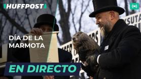 Vídeo en directo: la marmota Phil predice cuánto durará el invierno