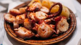 Un eurodiputado español se encuentra con este presunto pulpo y termina escribiendo una carta al Parlamento que es pura retranca gallega