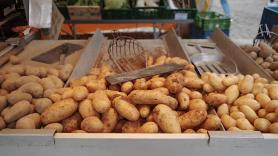 Una familia apuesta todo a un puesto callejero de patatas a 1 euros el kilo para salir de su crisis económica: "Vinieron hasta aquí especialmente para nosotros"