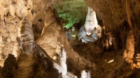 Intactos durante 49 millones de años: descubren un ecosistema "imposible" oculto bajo una atracción turística