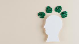 Qué es la Ecoansiedad: la trampa psicológica del perfeccionismo verde