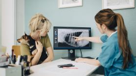 Un juez anula el despido de una empleada que faltó para sacrificar a su perro: "Sería inmoral prolongar su agonía"