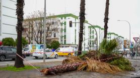 Alerta por la borrasca 'Nils': rachas de 100 km/h y avisos rojos en la costa desde hoy