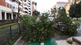 La AEMET activa el aviso rojo en Castellón por rachas de viento de hasta 140 km/h este sábado