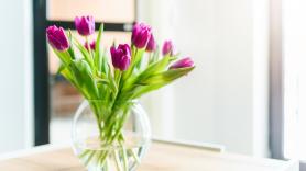 Lo que tienes que saber si te caen los tulipanes de Lidl como regalo de San Valentín