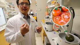 Adiós a los tomates que no saben a nada: científicos logran con edición genética que huelan a palomitas sin perder peso, azúcar ni vitamina C