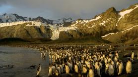 Henrik, 37 años, ha visitado más de 400 islas en el mundo y tiene veredicto de la mejor: le enamoró su tamaño y fauna