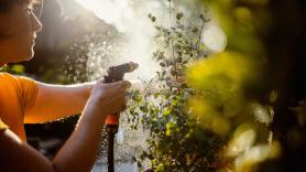 Los jardineros coinciden: este simple gesto en casa tiene un impacto mayor del que se puede pensar