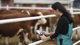 Andrea Garza, ganadera de 23 años e ingeniera agrícola, cuida 1.400 ovejas en Garrapinillos: "Quiero quedarme en el campo, si me dejan"