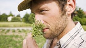 Perdió el olfato y lo recuperó oliendo romero cada mañana en el Ampurdán, como hacía su abuelo destilador: "Al cabo de meses, la vida volvió"