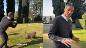 Sánchez sube un video con sus perras y muchos no pueden evitar fijarse en el nombre de una de ellas