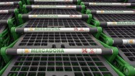 Un experto en alimentación señala qué alimentos de Mercadona toma en su día a día por tiempo y comodidad