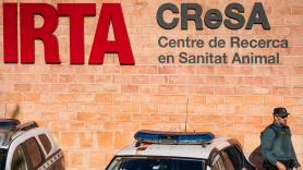 La Generalitat notifica un nuevo caso de peste porcina, el primero en Barcelona, y anuncia el cierre de los accesos al parque de Collserola