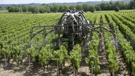 Lucie, viticultora: "Si pesas menos de 55 kilos, el tractor no te detecta. Tengo que apoyarme en el techo para que arranque"