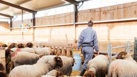 Isabel Pérez, ganadera en Grazalema, tras los temporales: "Ha sido como una guerra, lo hemos pasado muy mal"
