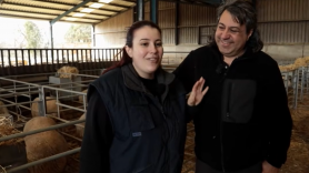 Andrea, ingeniera agrícola con 1.473 ovejas en Zaragoza: "Busqué una salida de emergencia estudiando, pero voy a luchar por mantener lo que empezó mi bisabuelo"
