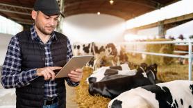 Los inversores de Silicon Valley descubren que el campo también puede ser un negocio de suscripción: así funciona el collar que convierte a los ganaderos en clientes cautivos de por vida