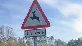 La Guardia Civil subraya lo que hay que hacer al ver esta señal de tráfico y casi todo el mundo ignora: "No está de adorno"