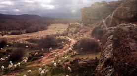 Los últimos pastores de la serranía de Cuenca coinciden: "No quedan ya rebaños en el campo: los están comprando los ganaderos pakistaníes y marroquíes"