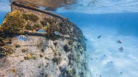 El galeón español que se hundió en 1656 con 650 hombres a bordo ocultaba un secreto de corrupción: lo han descubierto 370 años después en las Bahamas