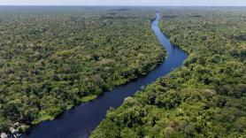 Buenas noticias para el mundo: el nivel de deforestación en el Amazonas cae a su nivel más bajo desde 2019, pero las amenazas continúan
