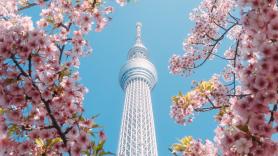 Tokio cambia las normas del turismo masivo que destruye la vida de sus vecinos: multas a comercios, papeleras inteligentes y 1.900 millones de yenes para frenarlo