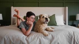 8 razas de perro que no dan alergia