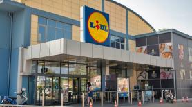 Ni picaduras ni zumbidos: los nuevos productos de Lidl para acabar con los mosquitos