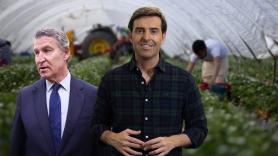 Feijóo apuesta por una "batalla total" contra el Gobierno por la regularización, aunque algunos avisan: "Hay que medir bien"