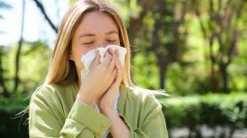 Así puedes combatir la alergia protegiendo tu casa del polen esta primavera