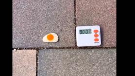 Un laboratorio se lanza a aclarar si es verdad o mito la regla de los cinco segundos de un alimento en el suelo