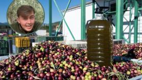 El responsable de una almazara aclara por qué hay aceites de oliva que son más verdes que otros
