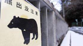Alarma por los avistamientos de oso en estaciones de tren y barrios residenciales de Japón antes de la Golden Week: "Han aprendido que pueden encontrar comida en lugares cercanos a las personas"