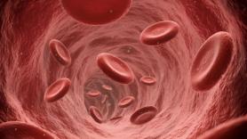 Adiós a las hemorragias incontrolables: un equipo de científicos e investigadores desarrolla un coágulo artificial 13 veces más resistente que el natural