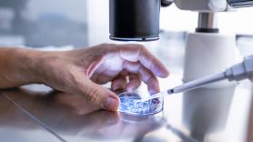 Desarrollan una IA que podría reducir entre un 30 y un 50% el número de animales en los experimentos de investigación farmacológica