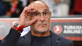 España está preparada... la convocatoria, casi: 'cracks' (y alguno que ha hecho 'crack') de la lista de De la Fuente para el Mundial