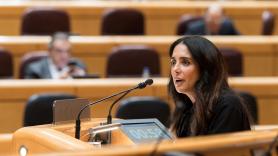 Vox pide de nuevo derogar la ley de Violencia de Género, esta vez en el Senado