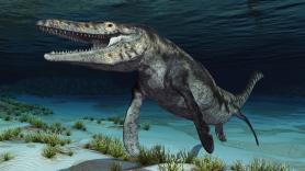 13 metros de largo y dientes de sierra: el colosal hallazgo del nuevo 'T-Rex' marino que reescribe la paleontología